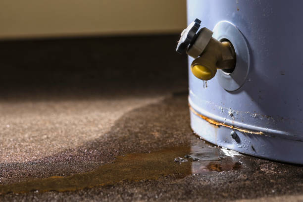 Best Professional water damage repair  in Brighton, AL