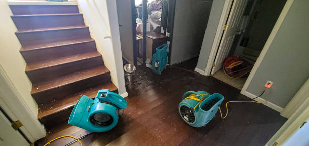 Best Flood damage cleanup  in Brighton, AL