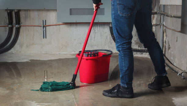 Best Mold removal after water damage  in Brighton, AL