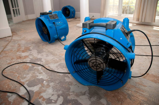Best Water damage restoration experts  in Brighton, AL