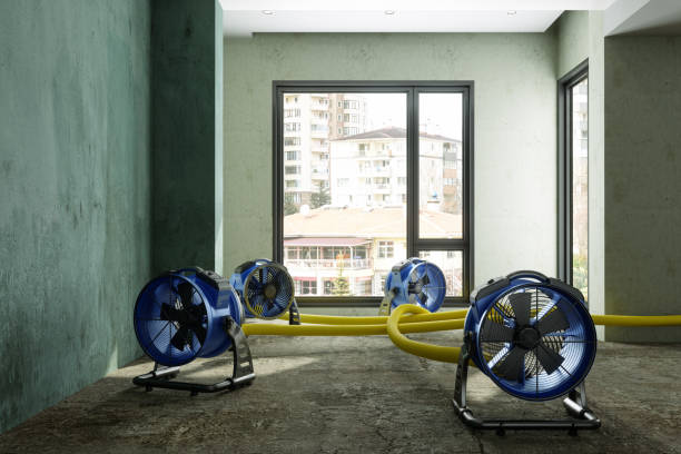 Water damage restoration experts in AL